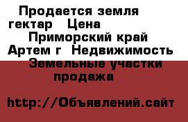 Продается земля 23,6 гектар › Цена ­ 21 600 000 - Приморский край, Артем г. Недвижимость » Земельные участки продажа   